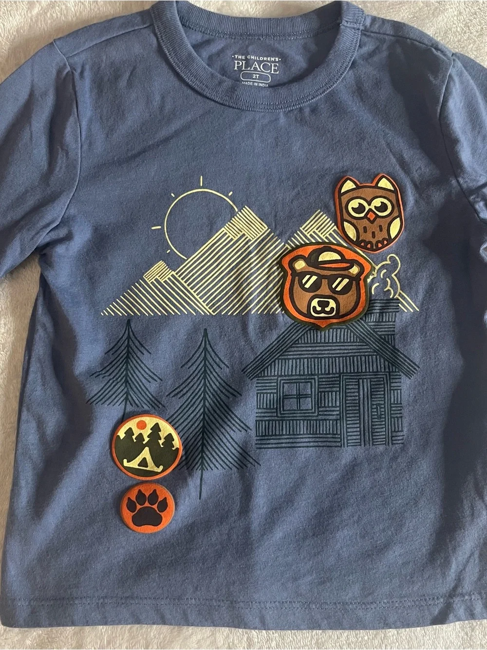The‎ Children's Place Crewneck Graphic Long-Sleeve Tees Blue Brown Sz 2T